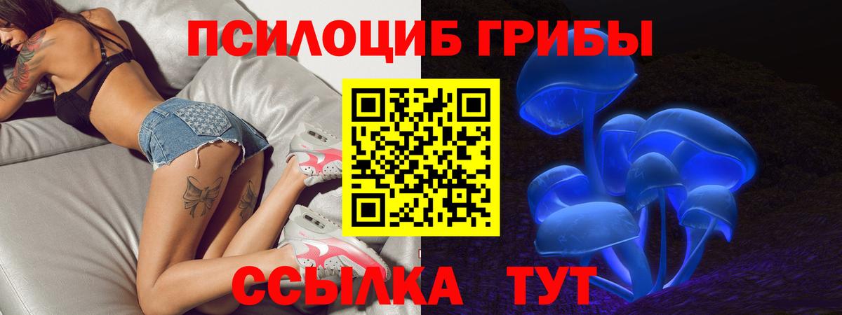 Сафоново  Галлюциногенные грибы GOLDEN TEACHER  закладка  Вход с VPN 